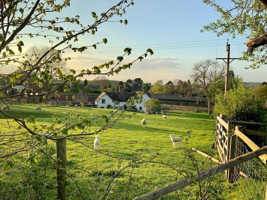 The Cart House - Beautiful Contemporary Barn - Hot Tub Lejlighed Bridgnorth Eksteriør billede